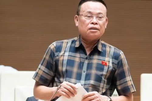 Đại biểu Nguyễn Như So: Việt Nam vươn lên như hải đăng kinh tế khu vực