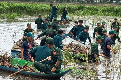 Đồn Biên phòng Vĩnh Điều giúp dân thu hoạch hoa màu chạy lũ