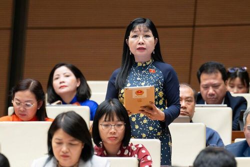 Trưởng Đoàn Đại biểu Quốc hội tỉnh An Giang đóng góp chính sách cho người cao tuổi