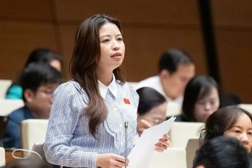 Đại biểu Quốc hội Nguyễn Thị Hà: Bạo lực học đường vẫn diễn biến phức tạp