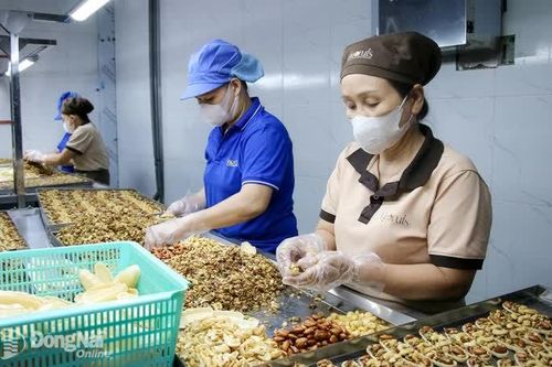 Sản phẩm địa phương vào mùa sản xuất hàng Tết