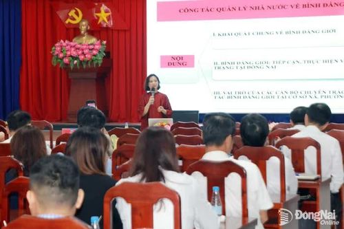 Nâng cao năng lực, hiệu quả công tác quản lý nhà nước về thanh niên và bình đẳng giới