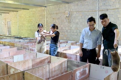 Phát huy vai trò hạt nhân chính trị