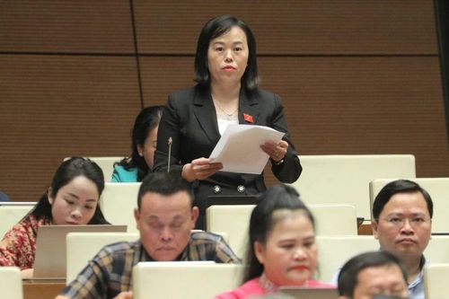 Đại biểu Quốc hội tỉnh Lào Cai phát biểu tại nghị trường về phát triển kinh tế - xã hội