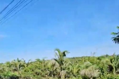 Kiên quyết thu hồi đất lấn chiếm tại dự án Khu đô thị Hàm Tiến - Mũi Né