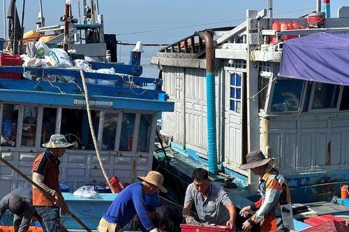 Bảo vệ và phục hồi nguồn lợi thủy sản, hệ sinh thái biển Lâm Đồng