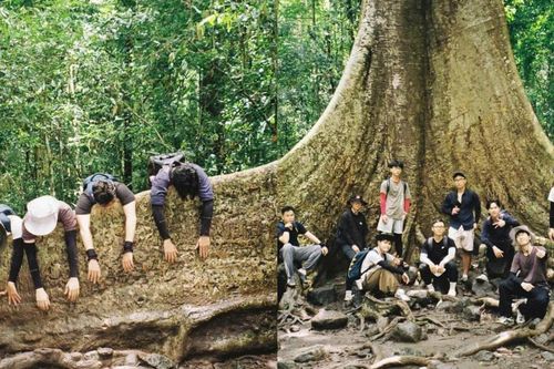 Nam Cát Tiên: Hành trình khám phá những kỳ quan rừng già