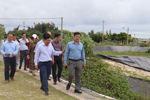 Phó Chủ tịch UBND tỉnh Lâm Đồng Lê Trọng Yên khảo sát thực địa dự án điện gió, khu sản xuất giống thủy sản