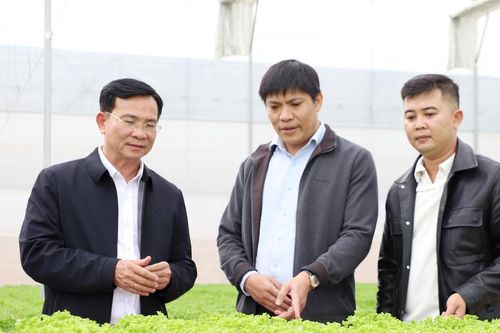 Nhân rộng mô hình nông nghiệp hiệu quả giúp nâng cao thu nhập cho nông dân
