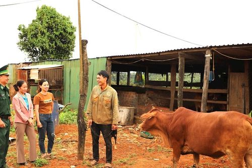 Trao sinh kế bền vững nơi biên cương