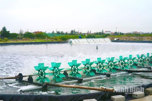 Hải Xuân phát huy lợi thế phát triển kinh tế biển