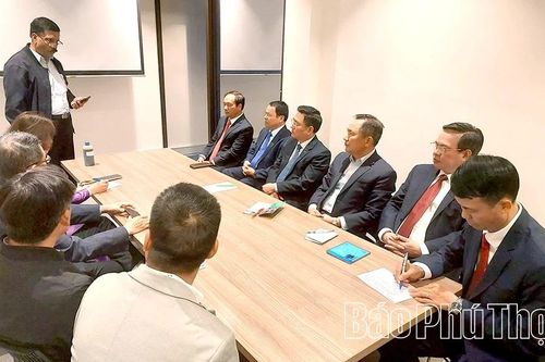 Lãnh đạo tỉnh Phú Thọ làm việc với Giám đốc Công ty Dansun tại Melbourne, Úc