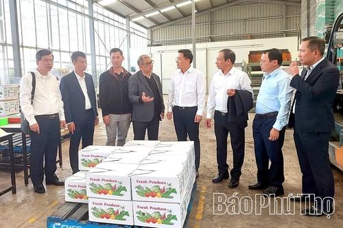 Đoàn công tác tỉnh Phú Thọ thăm và làm việc với các doanh nghiệp tiêu biểu tại Melbourne, Úc