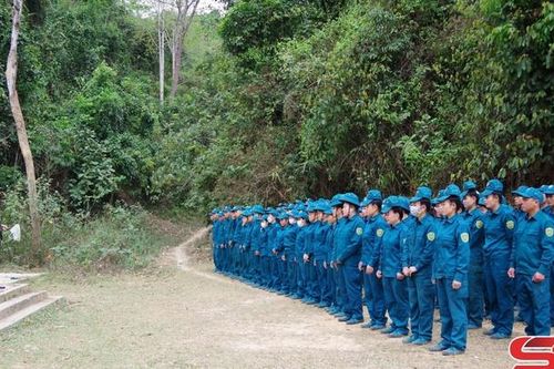 Tập trung xây dựng lực lượng DQTV vững mạnh, rộng khắp
