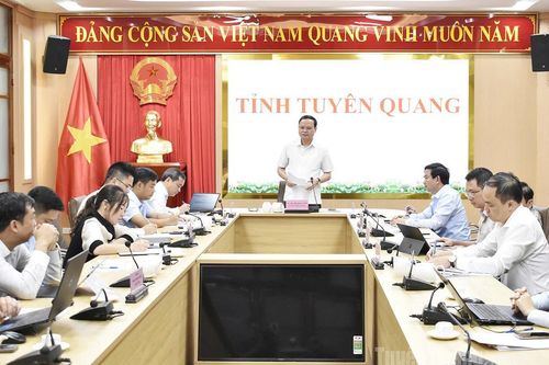 Phó Chủ tịch Thường trực UBND tỉnh Nguyễn Mạnh Tuấn làm việc với Công ty Cổ phần chè Mỹ Lâm