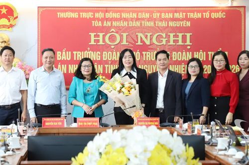 Kiện toàn chức danh trưởng, phó trưởng đoàn Hội thẩm Tòa án nhân dân tỉnh