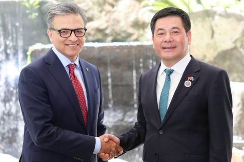 Nhiều tiềm năng thúc đẩy hợp tác thương mại và đầu tư giữa Việt Nam - Canada