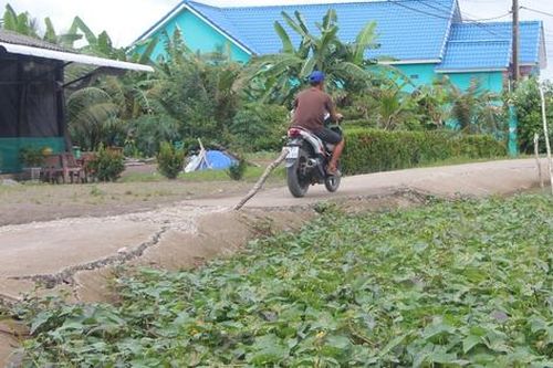 Hạn chế sụt lún đất, hư hỏng đường giao thông do biến đổi khí hậu ở Cà Mau