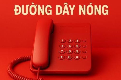 Cà Mau: Người đàn ông gọi điện thoại xúc phạm nhân viên bệnh viện bị phạt 2,5 triệu đồng