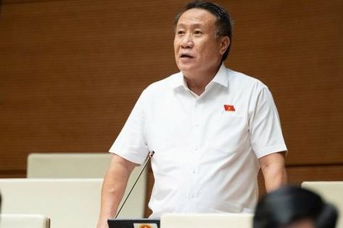 ĐBQH đề nghị rà soát yêu cầu nộp sổ đỏ photo, tránh gây phiền hà cho người dân