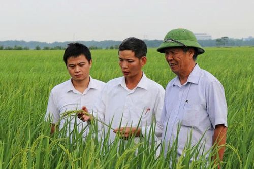 Xây dựng chuỗi liên kết khép kín, phát triển nông nghiệp sinh thái
