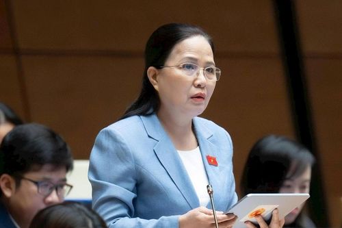 Đề nghị bổ sung chỉ tiêu tạo việc làm, sớm thể chế cơ chế đặc thù cho Vân Đồn