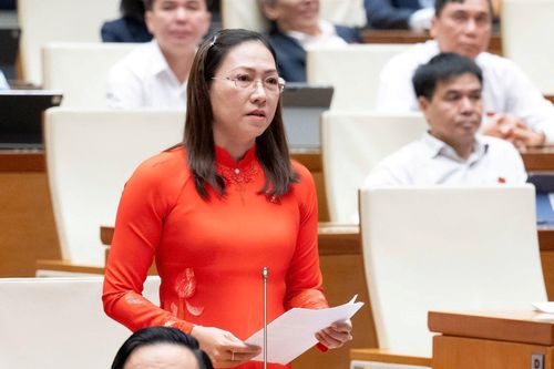Đại biểu Quốc hội: Báo động tình trạng lừa đảo, bắt cóc online