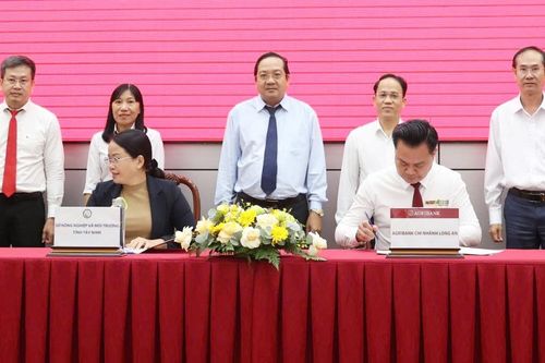 Ngân hàng liên kết với địa phương triển khai cho vay chương trình 1 triệu ha lúa phát thải thấp