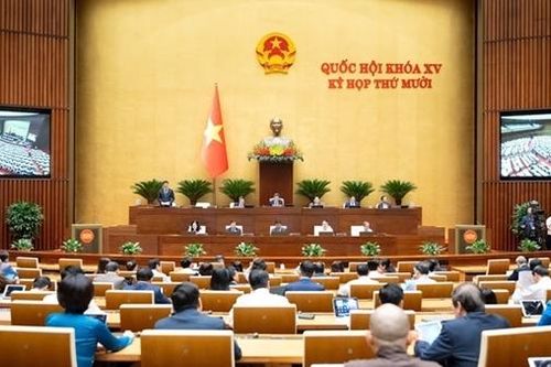 Thị trường vàng phức tạp, bạo lực học đường, bạo hành nhân viên y tế gây bức xúc