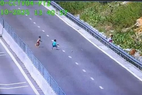 3 thiếu niên ra giữa đường cao tốc đùa giỡn, ném đá