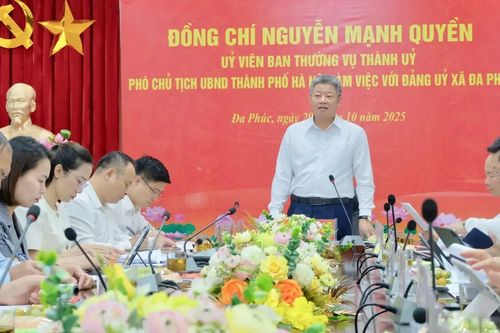 Đa Phúc đẩy nhanh lập quy hoạch, tạo nền tảng phát triển
