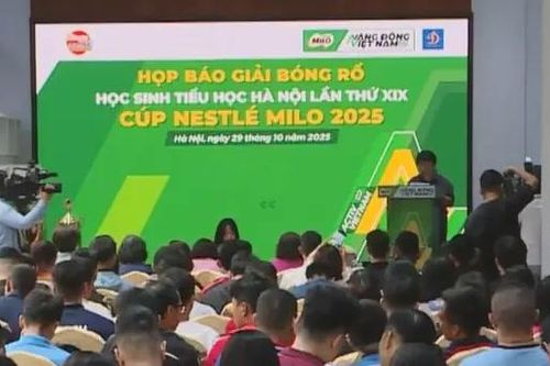 Bốc thăm Giải bóng rổ học sinh tiểu học Hà Nội 2025