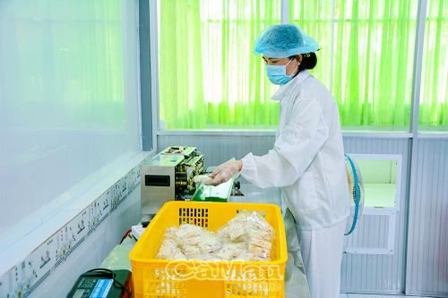 Phụ nữ tự tin bước vào thời đại số
