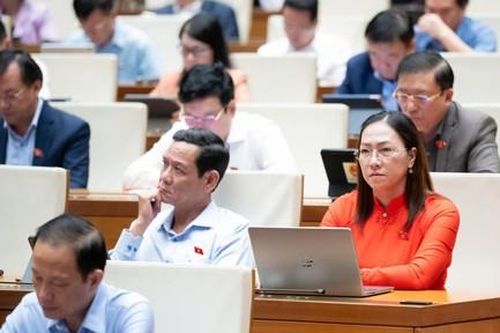 Đại biểu Quốc hội nêu giải pháp ngăn chặn tình trạng 'bắt cóc online'