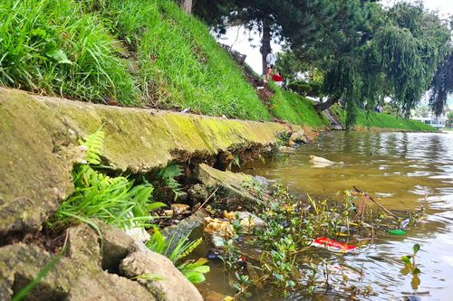 Bờ kè hồ Xuân Hương bị sạt trượt, đe dọa 'trái tim' Đà Lạt