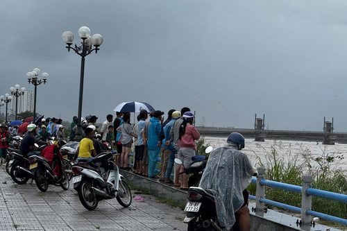 Lũ dâng cao, người đàn ông bị mắc kẹt ở gò đất giữa sông Trà Khúc