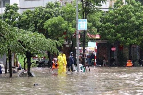 Hà Nội: Đôn đốc bàn giao hạ tầng thoát nước để giảm úng ngập
