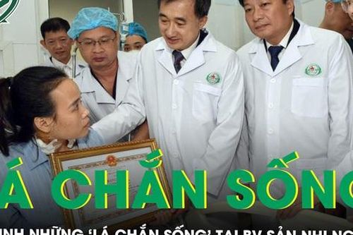 Tôn vinh những 'lá chắn sống' bảo vệ bệnh nhân trong vụ tấn công ở BV Sản Nhi Nghệ An
