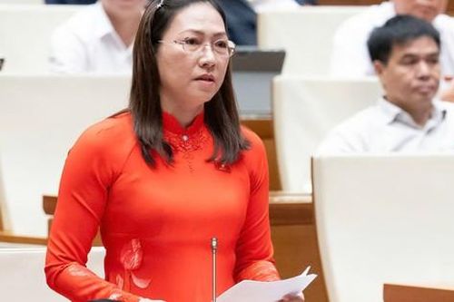 ĐBQH: 'Bắt cóc online' là thực trạng đáng báo động của thời đại số