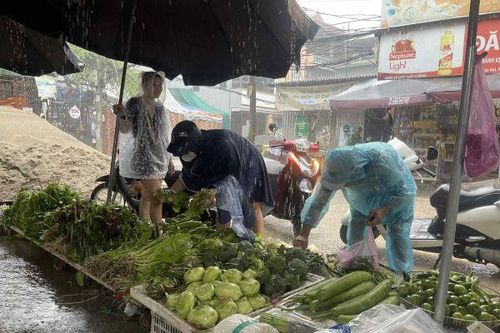 Rau xanh vẫn 'đắt kinh khủng'