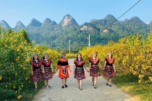 Tháng 11, hẹn nhau lên vùng cao nguyên đá check-in mùa dã quỳ nở rộ