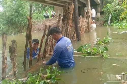 Đồng Tháp: Mưa, lũ, triều cường gây thiệt hại gần 22 tỷ đồng