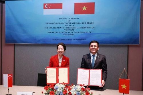 Việt Nam và Singapore ký bản ghi nhớ Hợp tác Thương mại gạo