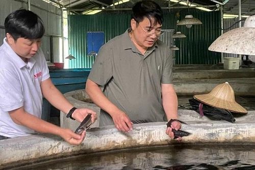Cần xây dựng thương hiệu cho cá nước lạnh Lai Châu