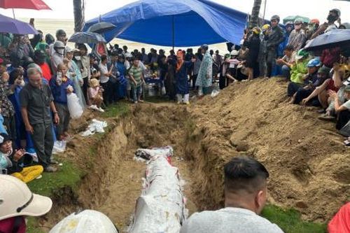 Hàng trăm người tập trung xem nghi lễ chôn cất chú cá Voi lụy bờ tại bãi biển Đà Nẵng