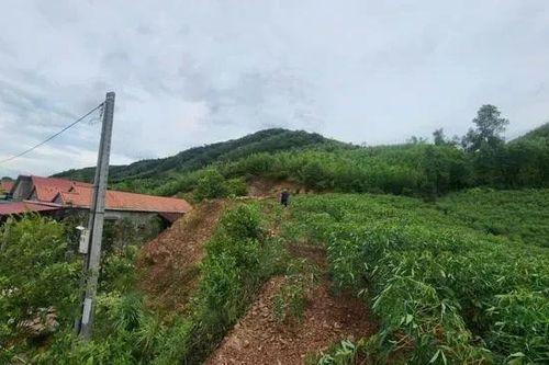 Xuất hiện nhiều vết nứt lớn, xã miền núi Quảng Trị di dời hàng chục hộ dân