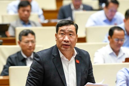 Đại biểu Quốc hội 'hiến kế' huy động nguồn lực ngoại tệ và vàng trong dân