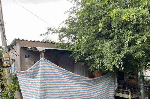 Bắt giữ nghi can sát hại cụ bà 72 tuổi