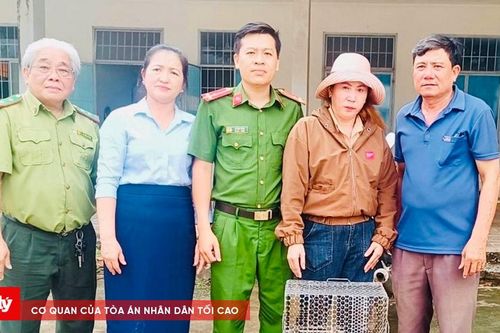 Người dân Đồng Nai giao nộp kỳ đà, khỉ quý, cùng công an thả về rừng