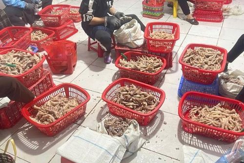 Phát hiện 3500 kg chân gà, 500 túi xúc xích không rõ nguồn gốc xuất xứ
